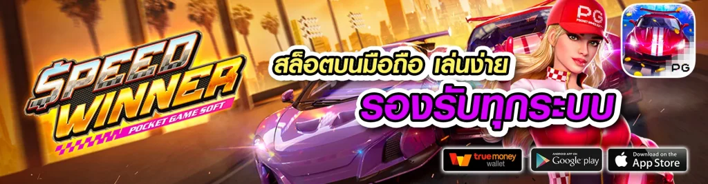 MAX888